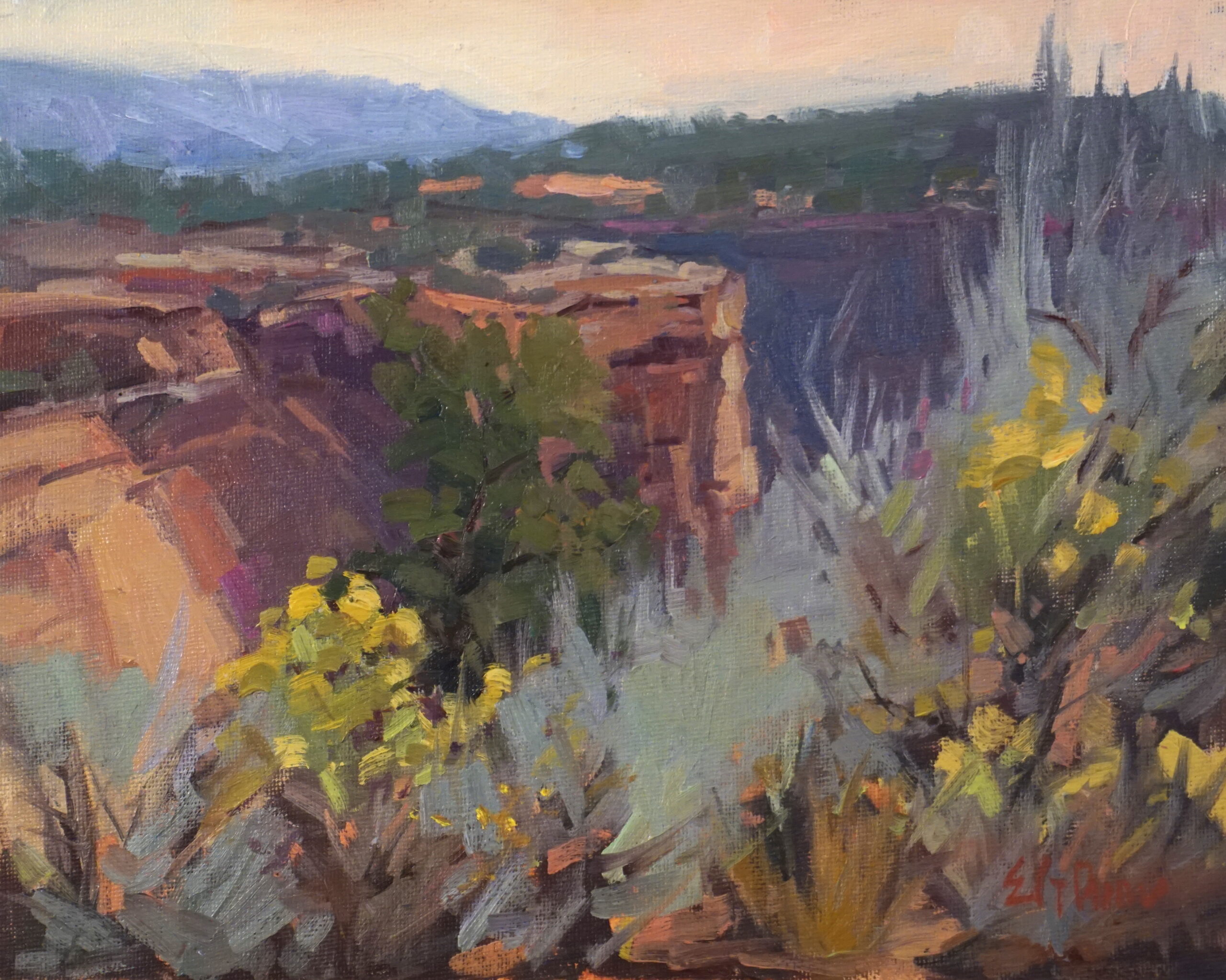 Eileen Guernsey Brown Edge of Ute Canyon
