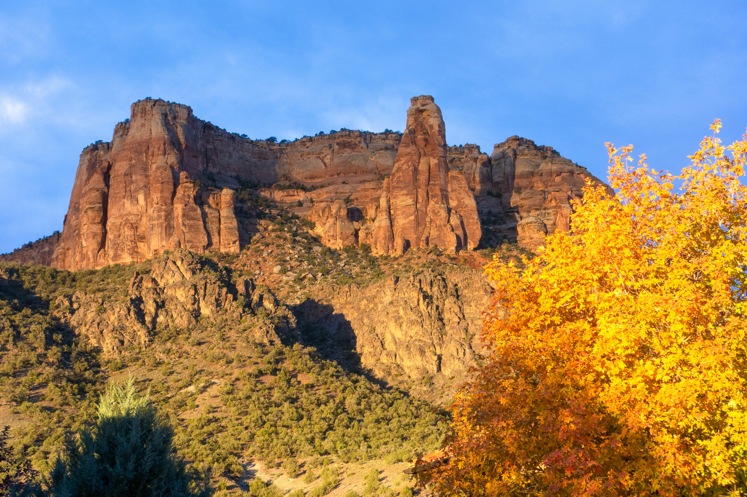 How To Support CNMA During The Government Shutdown